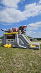 20250416 145535 1753678095 1753725018 T-rex Combo