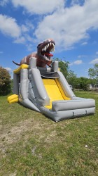 20250416 145633 1753678096 T-rex Combo