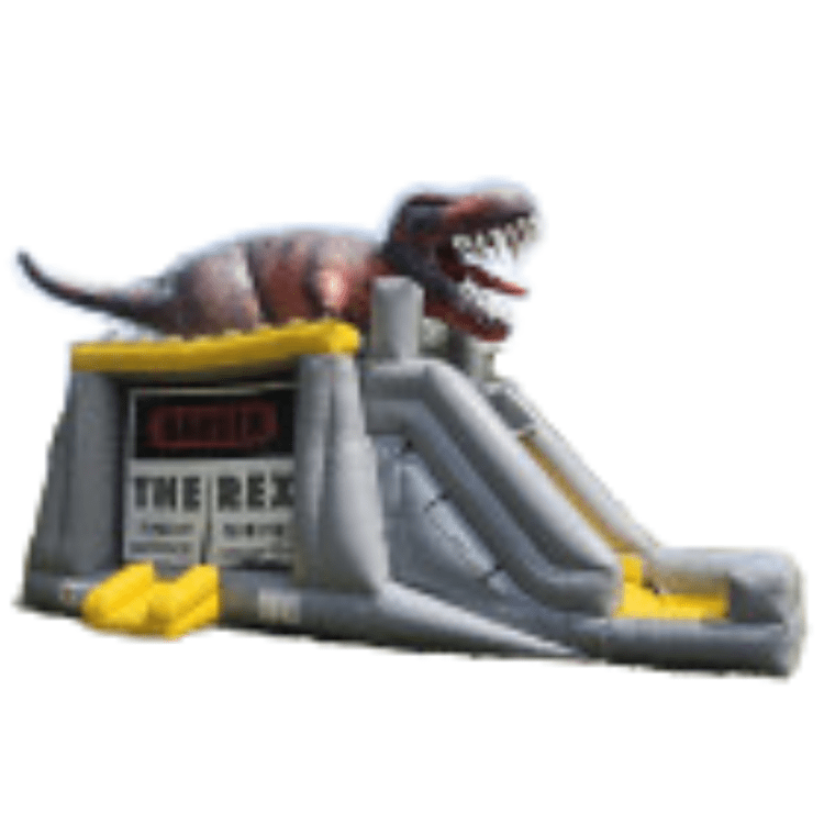 Slides & Combo Rentals